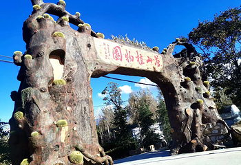 大理苍山植物园第 1 张图片