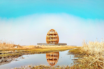 凉城岱海第 5 张图片