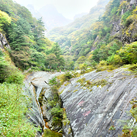 朱雀国家森林公园