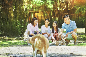 凯维森野生动物园