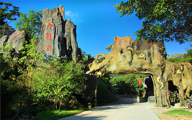 九龙谷景区第 19 张图片