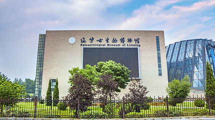 辽宁古生物博物馆第 8 张图片