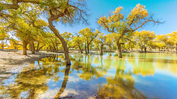 阿拉善沙漠世界地质公园