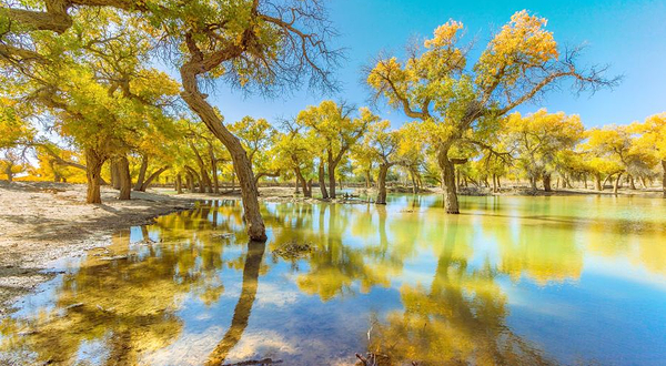 阿拉善沙漠世界地质公园