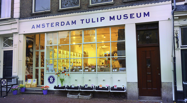 阿姆斯特丹郁金香博物馆