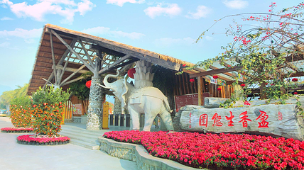 盈香心动乐园第 58 张图片