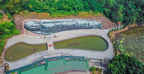 三水森林公园第 32 张图片