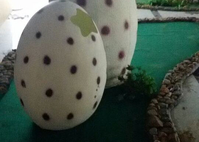 三叠泉黔龙大观园