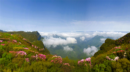 金佛山北坡景区第 41 张图片