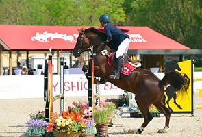 银山马会(贺兰店)