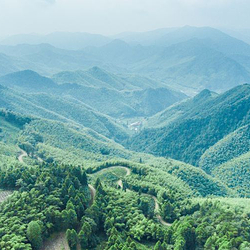 华顶国家森林公园