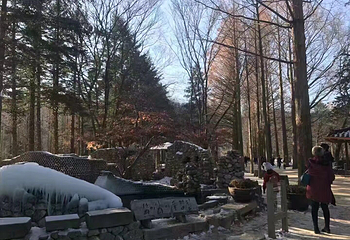 南怡岛第 95 张图片