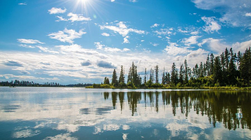 麋鹿岛国家公园