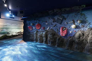 悉尼水族馆第 5 张图片