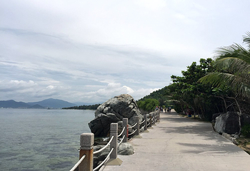 西岛第 251 张图片