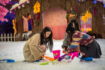 飘雪世界第 21 张图片