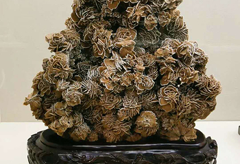 狼牙山文化博物馆第 18 张图片