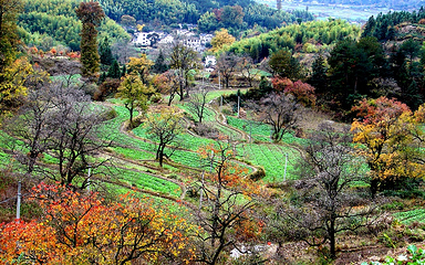 塔川第 100 张图片