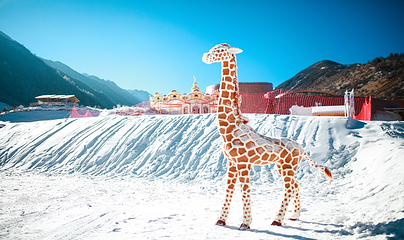 鹧鸪山自然公园滑雪场第 22 张图片