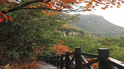 九路寨生态旅游区第 142 张图片
