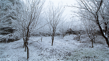 玉舍雪山滑雪场第 39 张图片