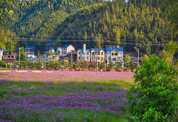 桃源里旅游度假区-花海乐园第 17 张图片