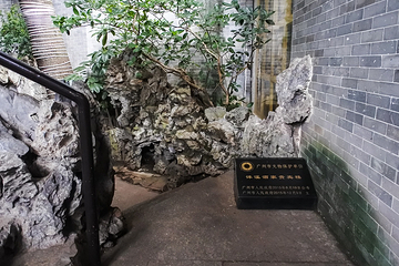 泮溪酒家(荔枝湾店)第 10 张图片