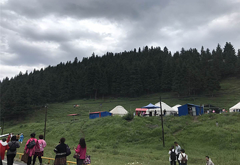 南山牧场第 4 张图片