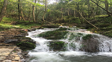 湖北锦绣谷景区第 7 张图片