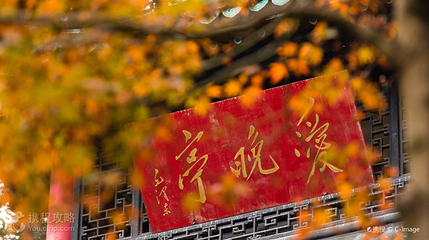 爱晚亭第 5 张图片