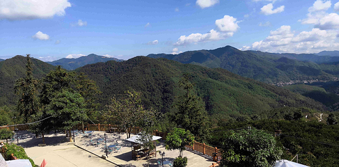 印山国家森林康养基地第 10 张图片