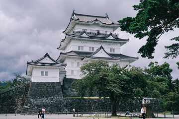 小田原城第 11 张图片