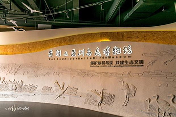黄河三角洲鸟类博物馆第 19 张图片