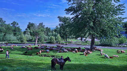 那拉提国家森林公园第 22 张图片