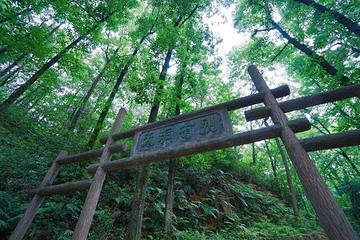 大奇山国家森林公园第 16 张图片