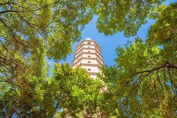 承天寺塔第 1 张图片