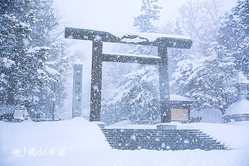 北海道神宫第 11 张图片
