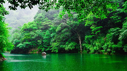 文成铜铃山森林公园景区第 11 张图片