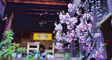 诺邓古村第 43 张图片