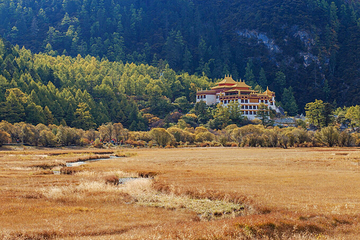 稻城亚丁风景区-冲古寺第 12 张图片