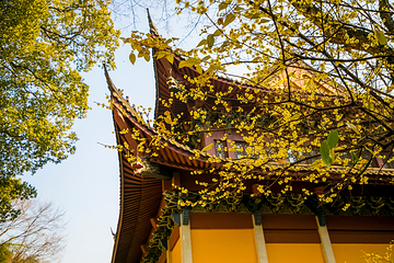 新昌大佛寺景区第 15 张图片