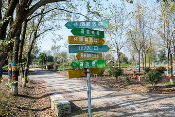 象山影视庄园第 17 张图片