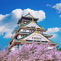 大阪城天守阁