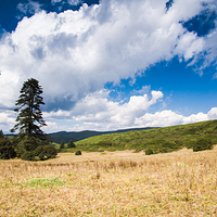 格萨拉生态旅游区