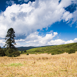 格萨拉生态旅游区