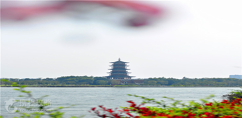 南昌华侨城欢乐象湖生态艺术公园第 6 张图片