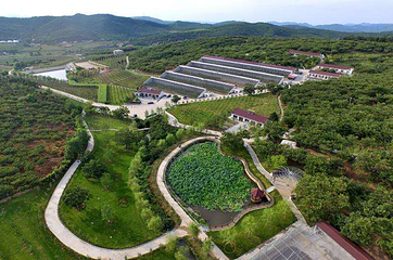 丹东馨艺度假山庄第 1 张图片