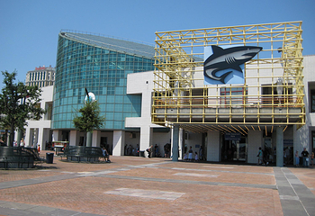 奥杜邦美洲水族馆第 1 张图片