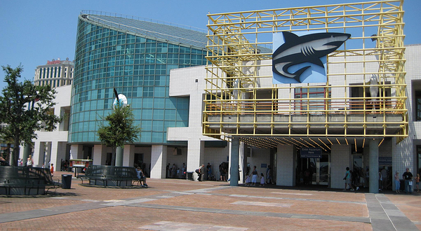 奥杜邦美洲水族馆