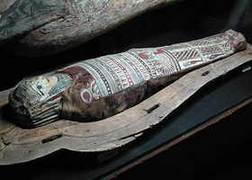 耶鲁大学皮博迪自然史博物馆